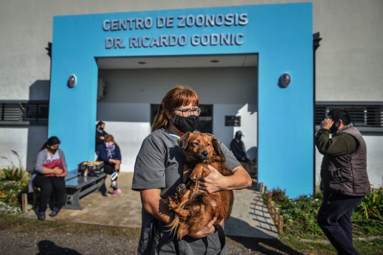 El Hospital Municipal de Zoonosis vacunó a más de 30 mil mascotas y realizó 8.500 castraciones en 2021