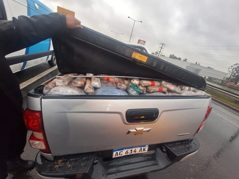 Perdió el control de su camioneta y chocó en Panamericana: llevaba una tonelada de hojas de coca