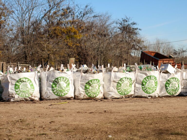 Recuperación del Arroyo Pinazo: el Municipio retiró 110 mil kilos de basura 