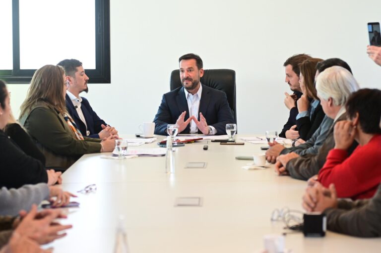 Mano firme, coraje y decisión política contra el delito: Ariel Sujarchuk presentó proyectos de ley contra la reiterancia de detenidos y para frenar la venta libre de armas semiautomáticas