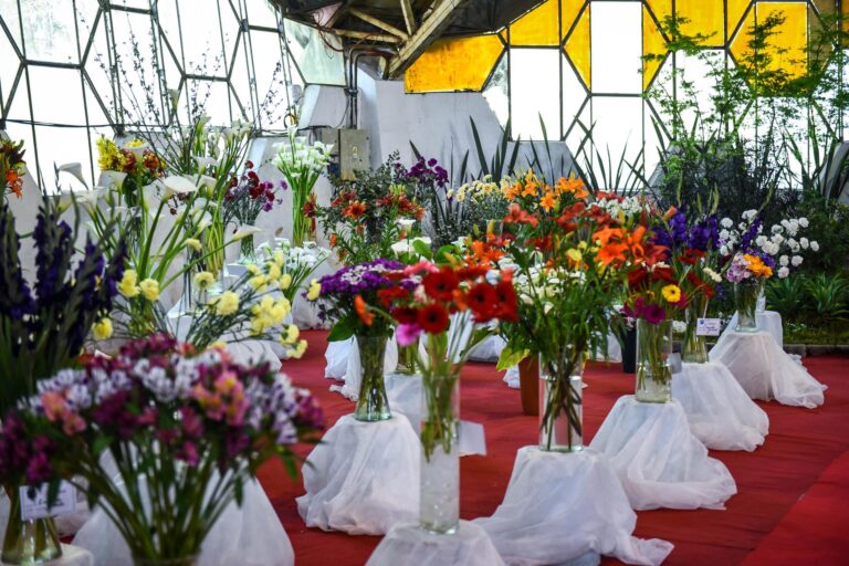 Fiesta Nacional de la Flor: “Viene gente de distintos lugares y se sorprende con la variedad casi interminable de productos”