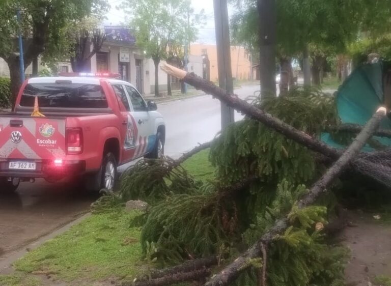 Temporal en Escobar: ráfagas de hasta 70 km/h y casi 50 mm de lluvia en tres horas