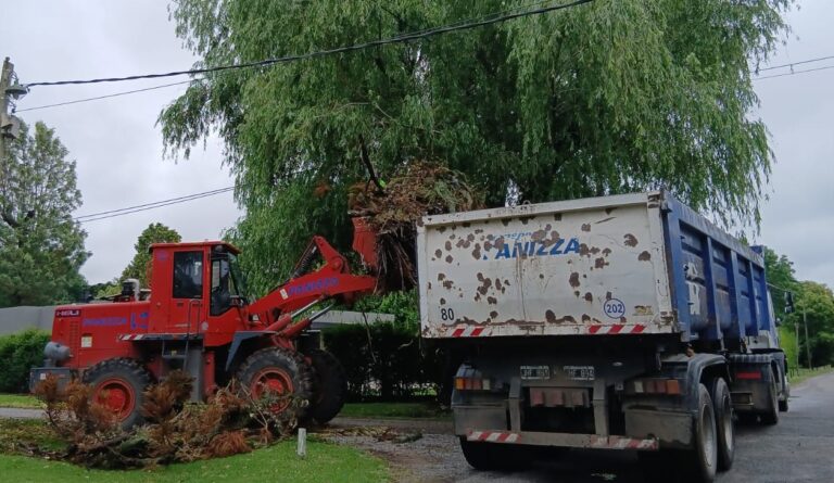 Cronograma del sistema municipal de recolección de ramas para esta semana