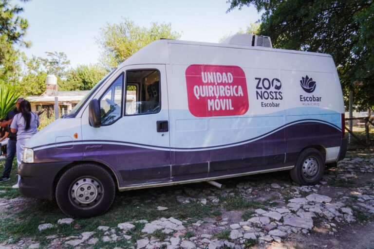 Zoonosis en los barrios: la Municipalidad realiza 33 operativos gratuitos por mes