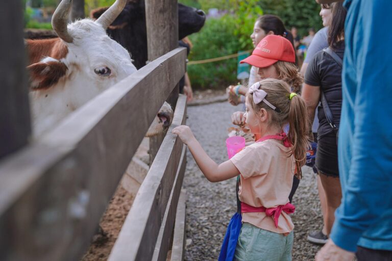 La Granja Don Benito abrió la inscripción para visitas escolares 