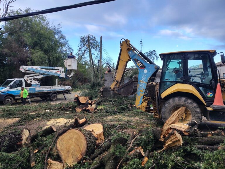 Más de 1500 agentes municipales trabajan en las calles tras el temporal 
